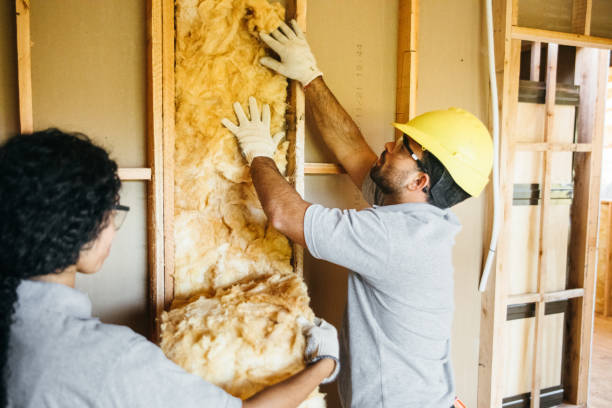 Best Cellulose Insulation  in Riverside, NY